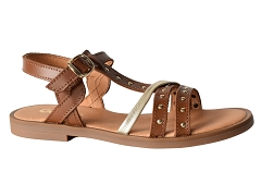 GBB ORKIDA<br>Marron