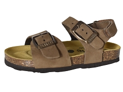 PLAKTON PALMA<br>Marron