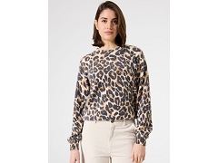 B32603 H50044:BRUN MOYEN//