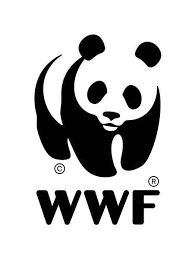 Geox-wwf-chaussures